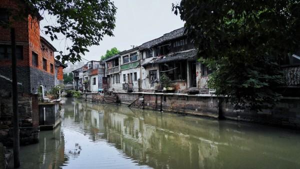 虫虫助手下载